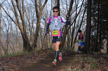 hase30k2015_0295