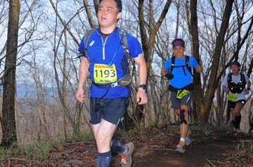 hase30k2015_0313