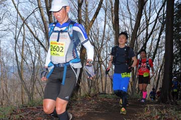 hase30k2015_0317