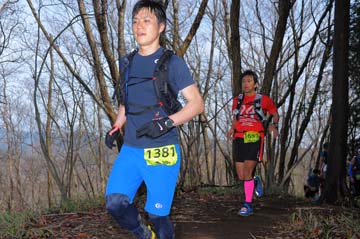hase30k2015_0318