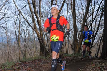 hase30k2015_0328