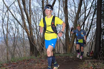 hase30k2015_0340