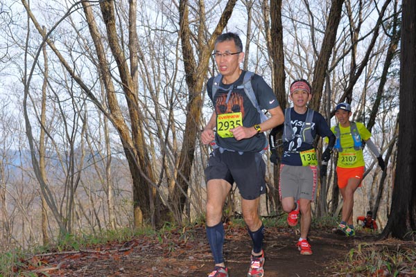 hase30k2015_0373