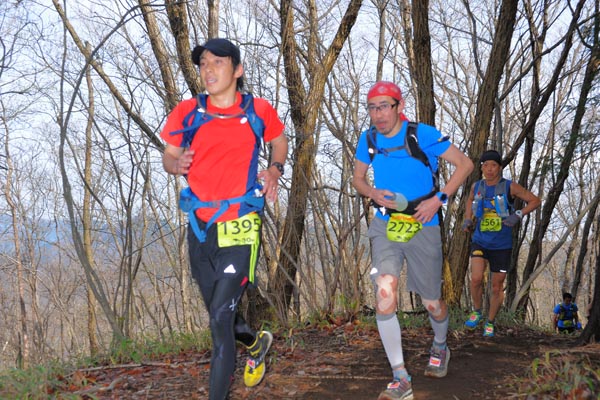 hase30k2015_0384