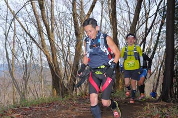 hase30k2015_0378