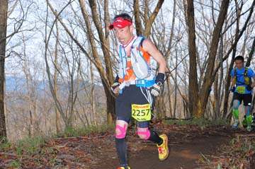 hase30k2015_0387