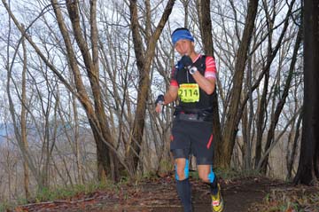 hase30k2015_0409