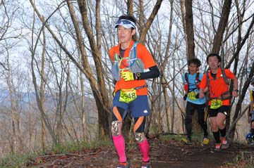hase30k2015_0482
