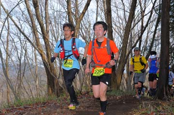 hase30k2015_0483
