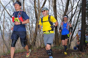 hase30k2015_0484