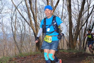 hase30k2015_0494