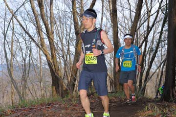 hase30k2015_0535