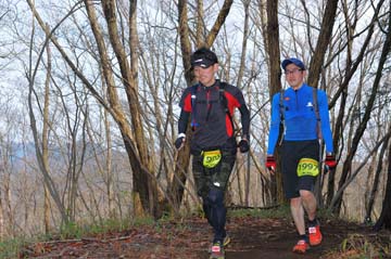 hase30k2015_0549