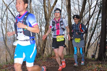 hase30k2015_0605