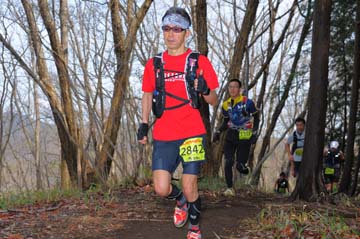 hase30k2015_0616