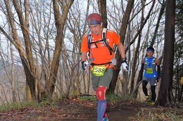 hase30k2015_0630
