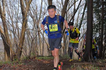 hase30k2015_0677