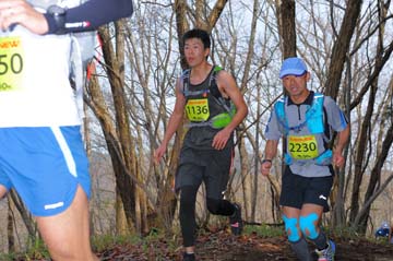 hase30k2015_0686