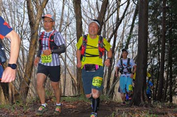hase30k2015_0691