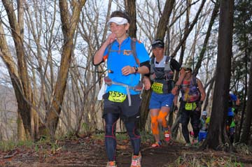 hase30k2015_0713