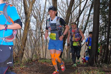 hase30k2015_0714
