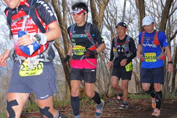 hase30k2015_0775