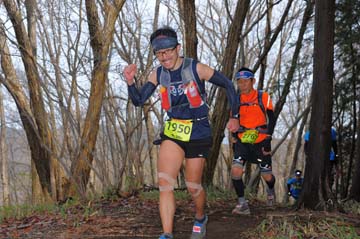 hase30k2015_0782