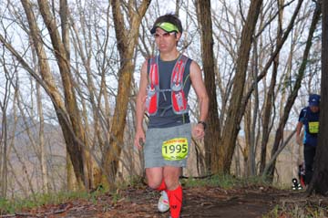 hase30k2015_0803