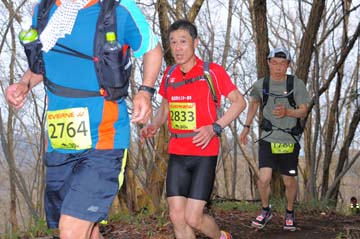 hase30k2015_0841