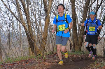 hase30k2015_0851