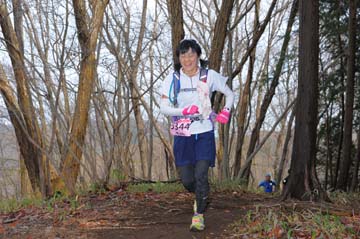 hase30k2015_0872