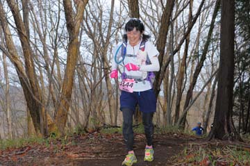 hase30k2015_0873