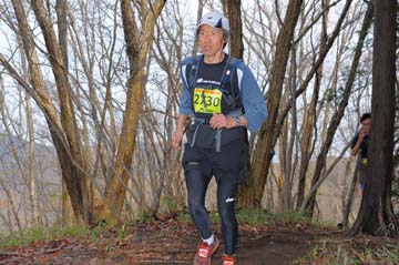 hase30k2015_0878