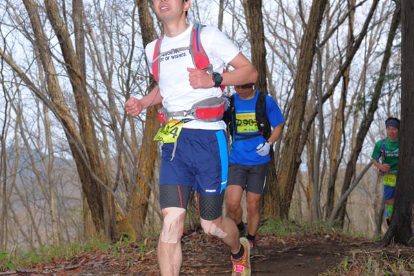 hase30k2015_0941