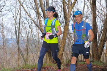 hase30k2015_0911