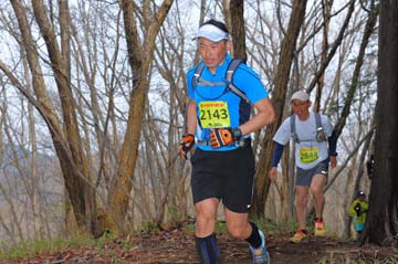 hase30k2015_0983