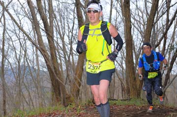 hase30k2015_1003
