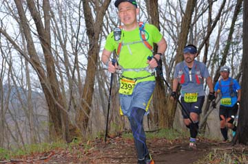 hase30k2015_1005
