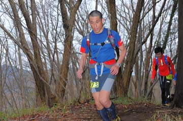 hase30k2015_1011