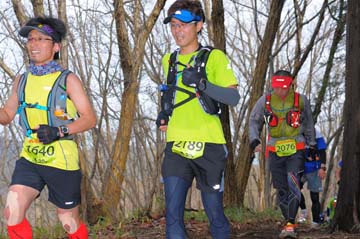 hase30k2015_1036