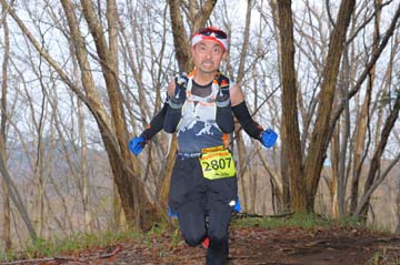 hase30k2015_1071
