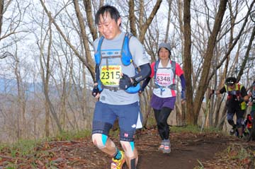 hase30k2015_1089