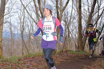 hase30k2015_1090