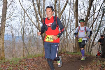 hase30k2015_1095
