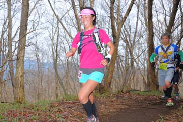 hase30k2015_1100