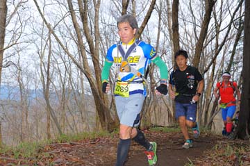 hase30k2015_1101