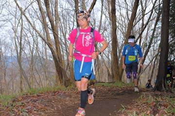hase30k2015_1112