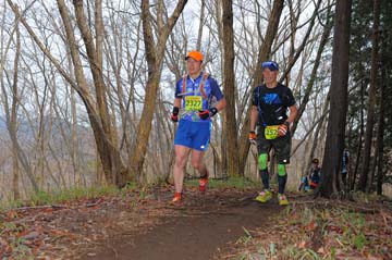 hase30k2015_1114