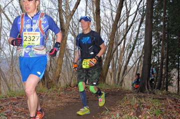 hase30k2015_1115