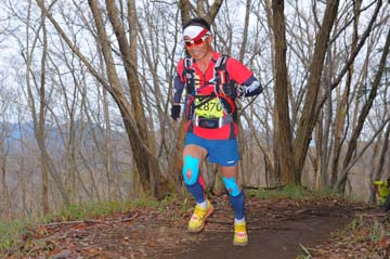hase30k2015_1127